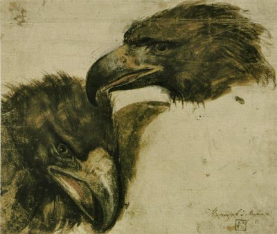 Two Studies of Eagle Head by Giovanni da Udine